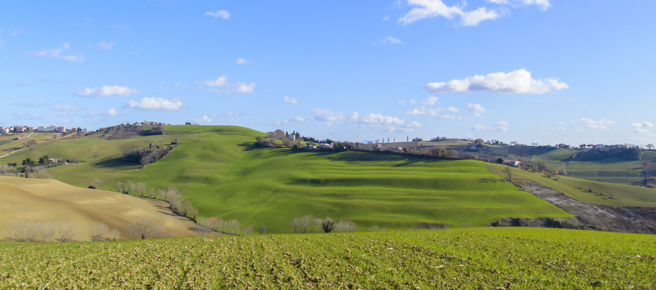 calzaturifio roberto di paolo montegranaro